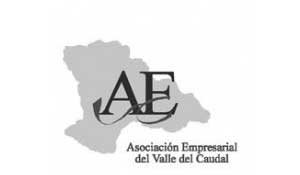 AEVC - Asociación Empresarial Valle del Caudal
